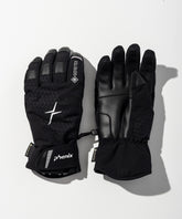【MENS】GORE-TEX Gloves / ゴアテックスグローブ / phenix スキーウェア 26AW
