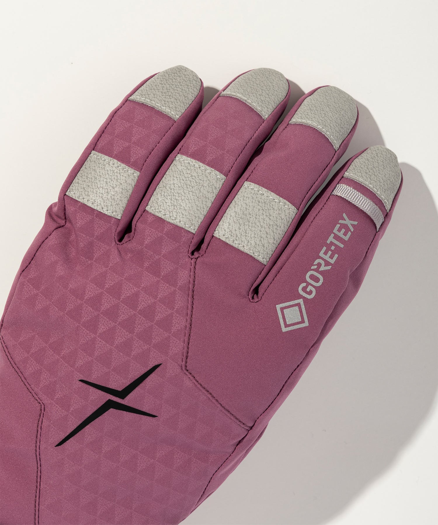 【MENS】GORE-TEX Gloves / ゴアテックスグローブ / phenix スキーウェア 26AW